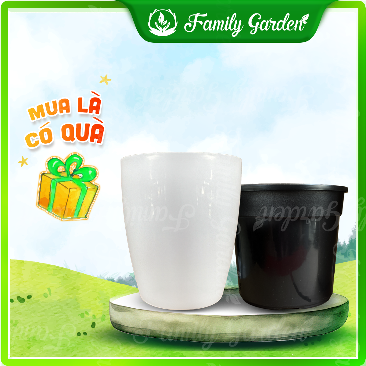 Đặt rọ thủy canh chứa giá thể (xơ dừa) vào chậu, đổ dung dịch chất dinh dưỡng, cây phát triển tốt, nhanh, sạch sẽ.